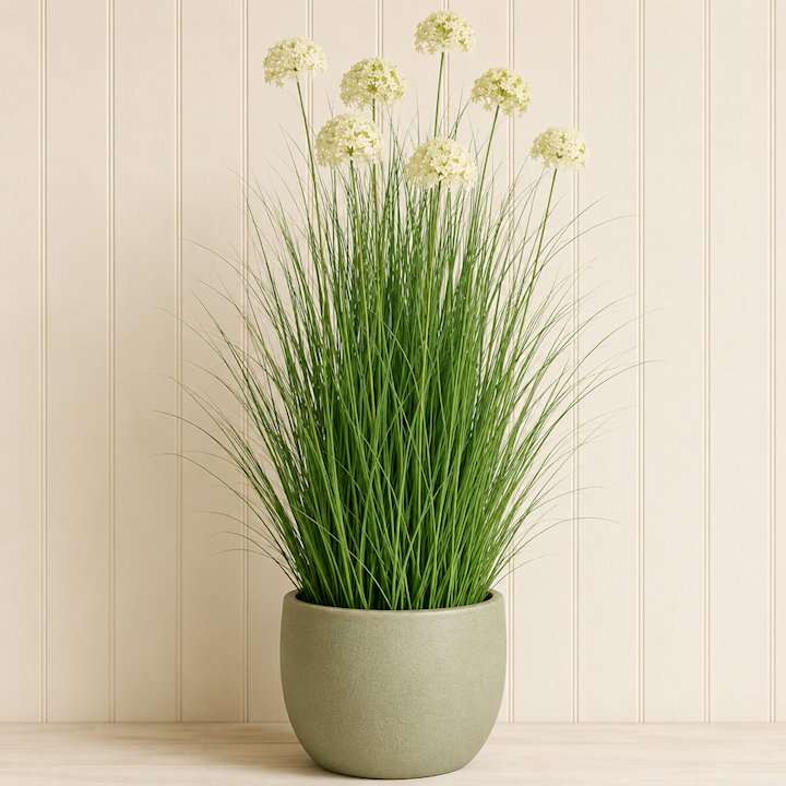 HYDRANGEA ONION GRASS BONSAI 90cm